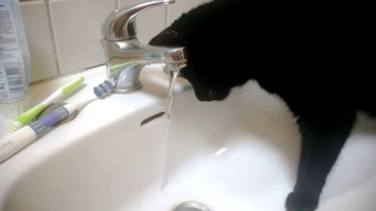 funzy boit au robinet