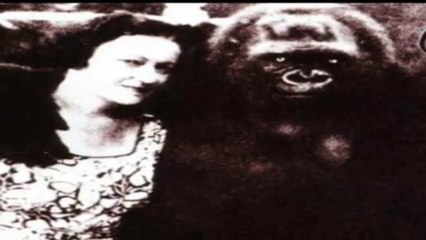 MIGHTY KONG - Jungle in My Blood - 73