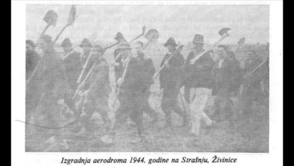 Zivinice kroz istoriju