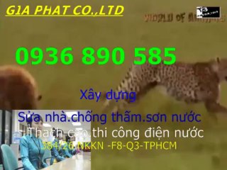Chuyen sua ong nuoc o tai quan 9 tphcm//,.(0907 323053)