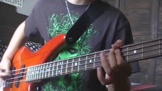 [Bass Cover] Phoenix: Lasso