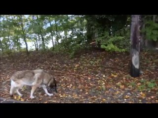 Balade à Sassenage. Oct 2013