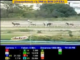 larinconada 1 carrera domingo 20 de octubre del 2013