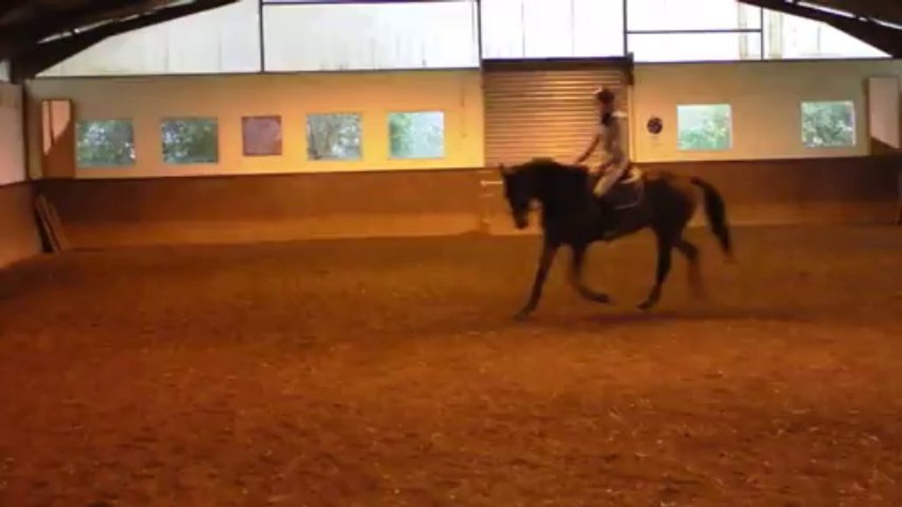 Stage dressage avec Pierre Beaupère - Partie 1 - 20.10.2013