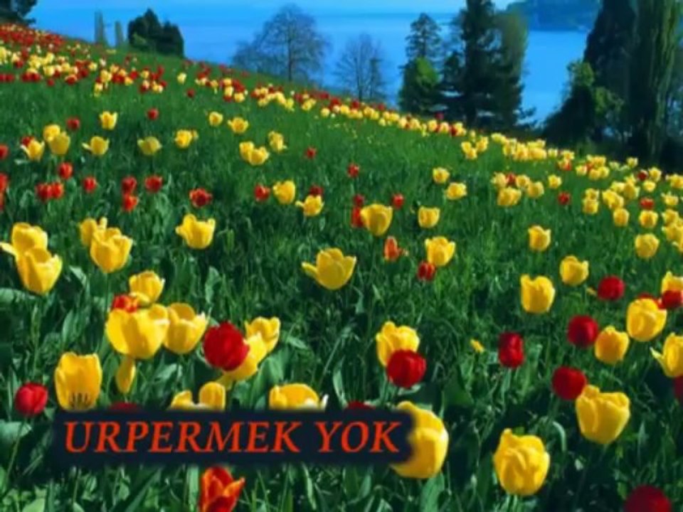 AHMET KAYA - SAFAK TURKUSU  Www.SesliDoz.Com | SesliDoz.Com |