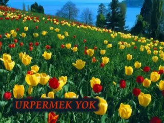 AHMET KAYA - SAFAK TURKUSU  Www.SesliDoz.Com | SesliDoz.Com |