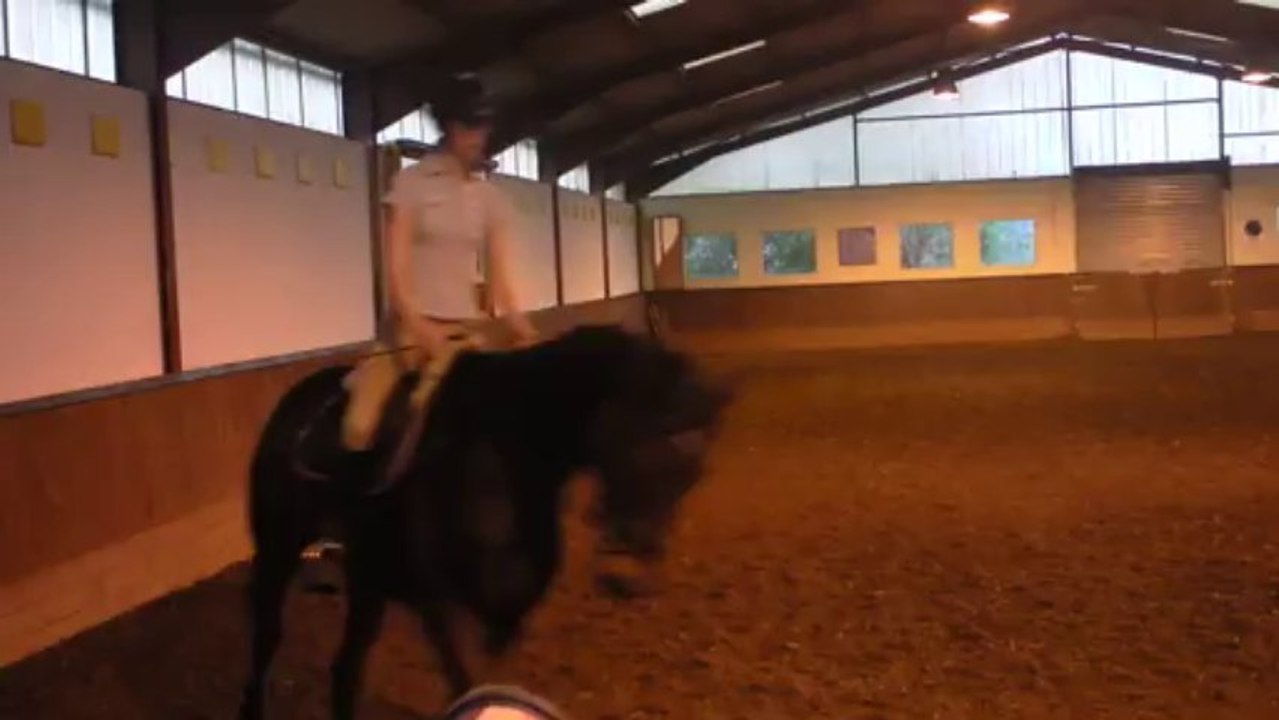 Stage de dressage avec Pierre Beaupère - Partie 4  - 20.10.2013