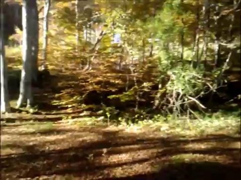 Alta Val Borbera...Autunno..