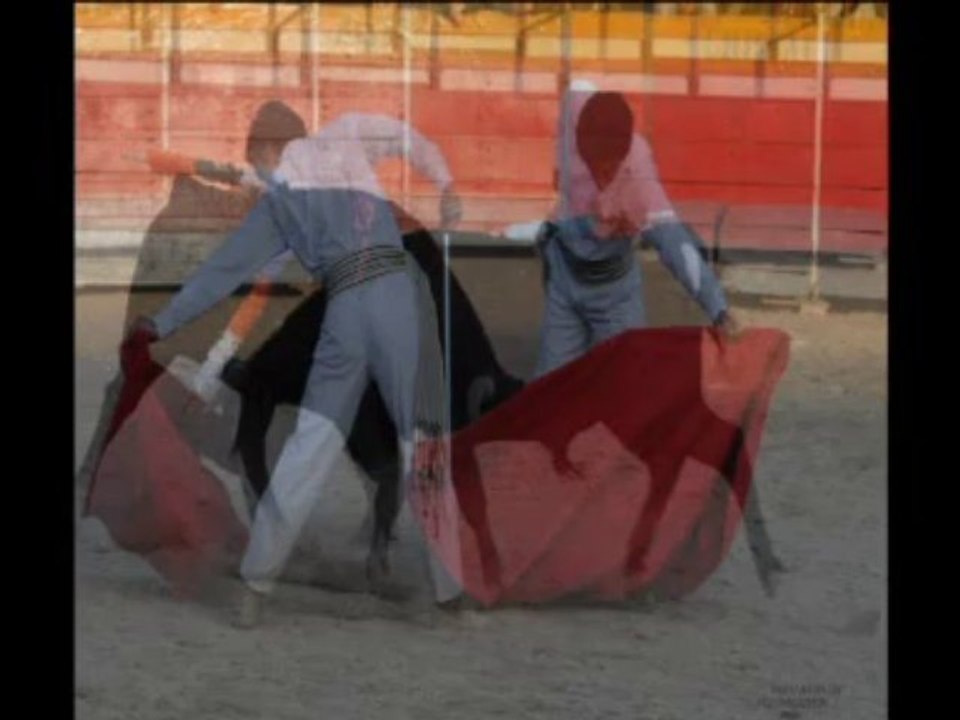 Fotovideo Apetasur 2013