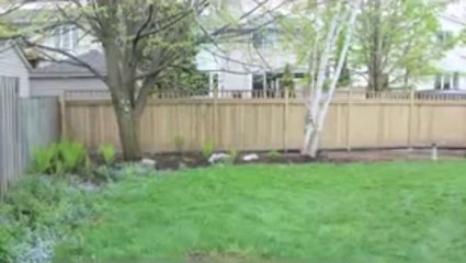 Novesco Fence Inc. - Decks Ottawa