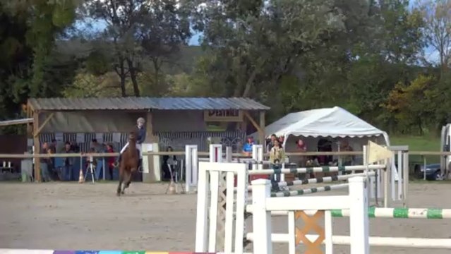 JOIE DU PARADIS et Laura GP 110 club élite