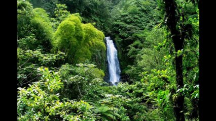 1 SAMUEL CAP 16 - A BIBLIA NA LINGUAGEM DE HOJE