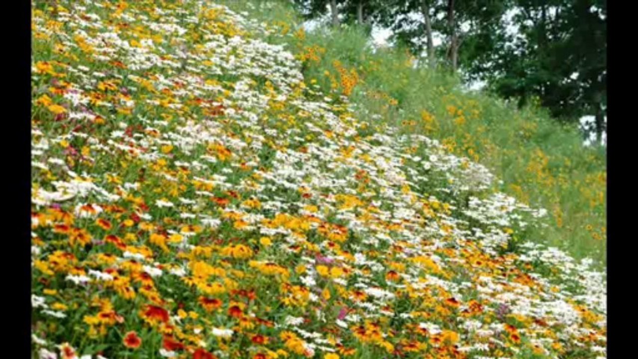 1 SAMUEL CAP 19 - A BIBLIA NA LINGUAGEM DE HOJE,IGREJA,DEUS,DEUS