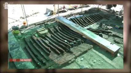 Le musée d'archéologie : 50 ans et une exposition rare