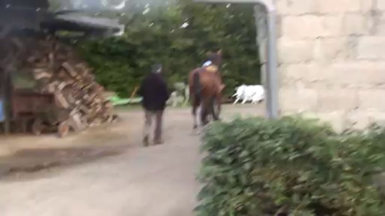 CASSIUS DES JIPES AUX LONGUES RENES