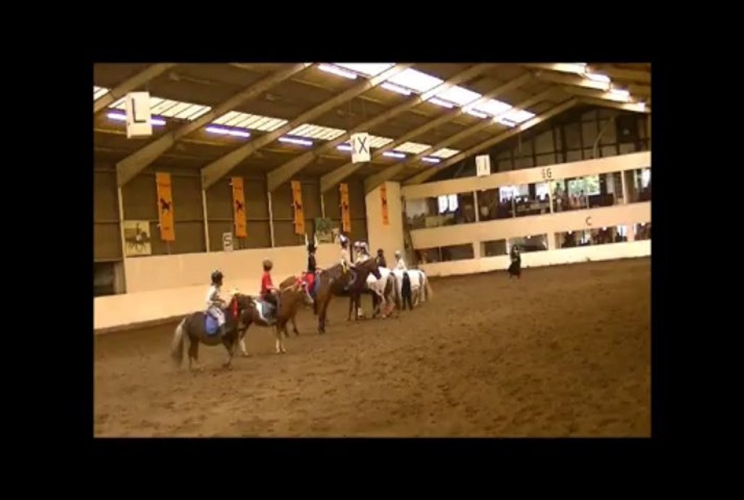carrousel poney 2013
