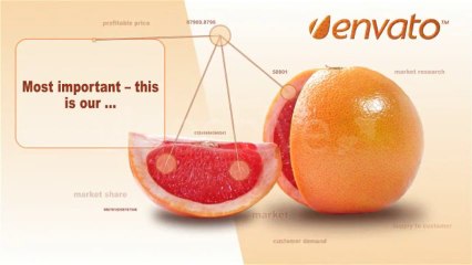 Orange Business Presentation - After Effects Template