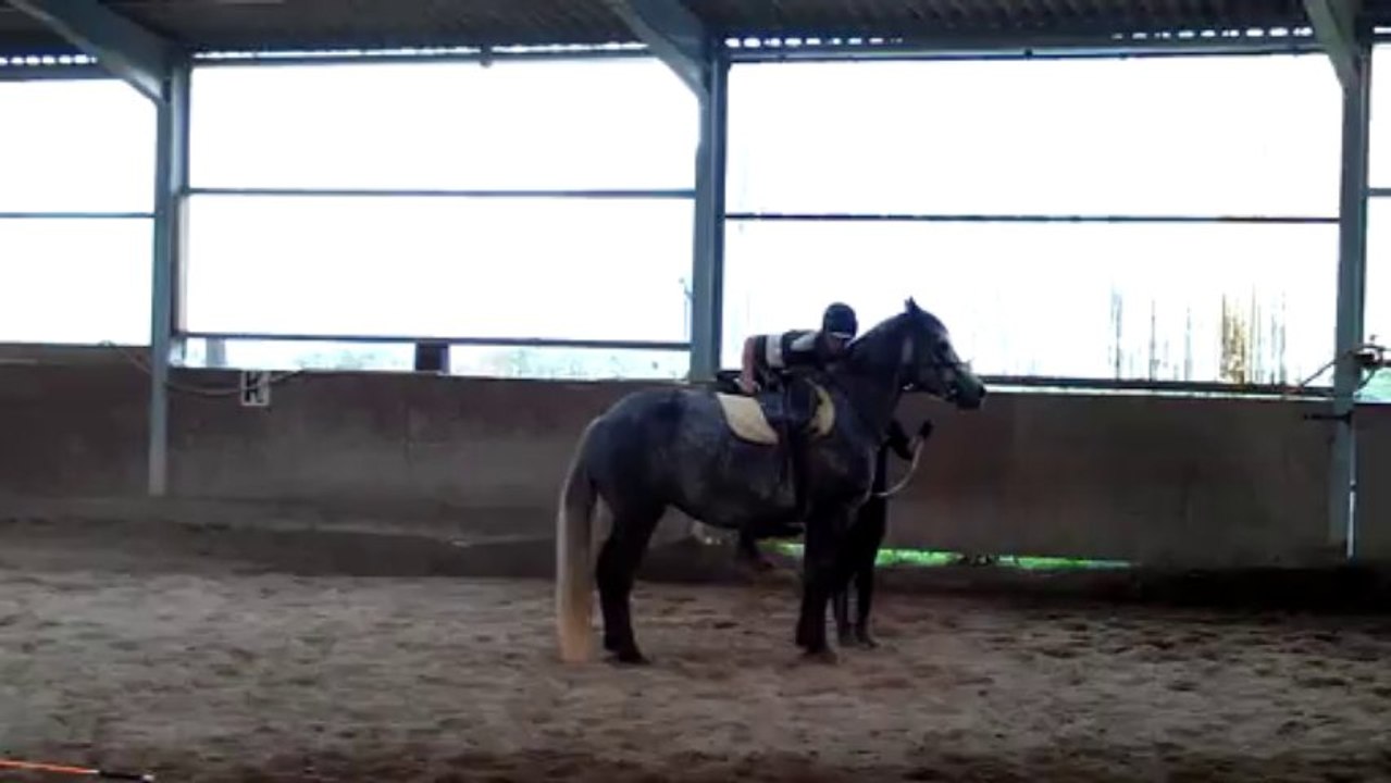 Débourrage de Vertu: Chute !!!