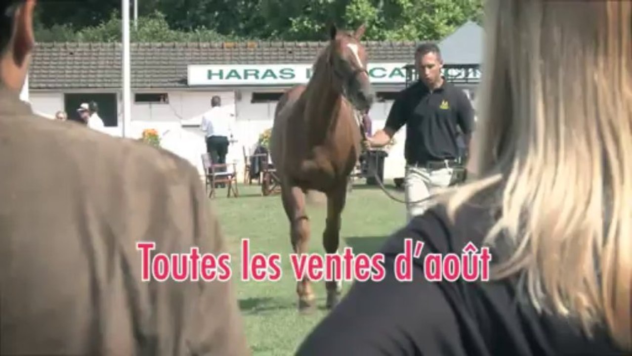 France Sire - Webcam1