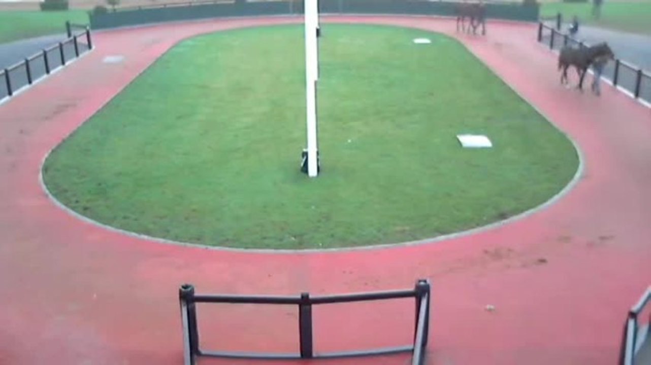 France Sire - Webcam3