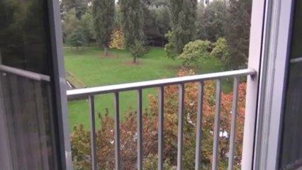 Dijon "lac" T3 - Agence CARREZ immobilier