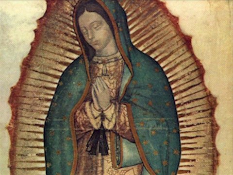 La Hermosa Virgen Morena de Guadalupe ¡Viva la Virgen de Guadalupe! | vaticanocatolico.com