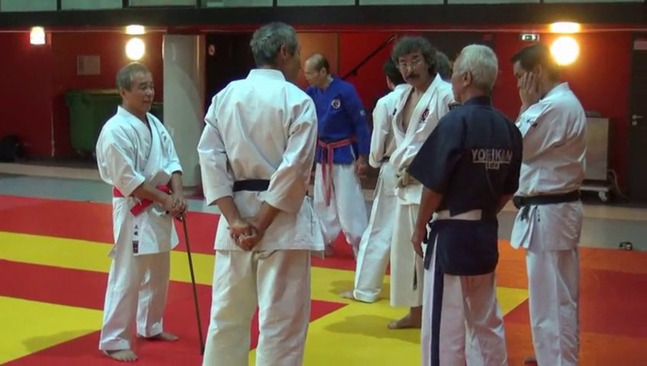 Stage national des Experts japonais 2013