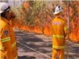موجة من حرائق الغابات بولاية ساوث ويلز في أستراليا