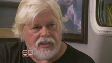 Paul Watson describes an experience he shared with a whale at sea that was particularly meaningful to him