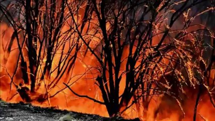 Australie: le combat des pompiers contre "un méga-incendie"