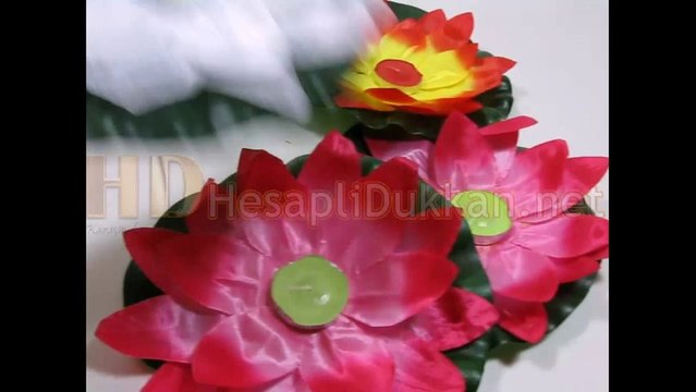 Su feneri zambak çiçeği Hesaplı Dükkan