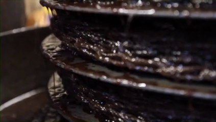 Les Huiles d'Olive du Midi de la France - Rencontres dans les vergers