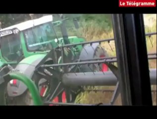 Morlaix. La moisson presse le temps