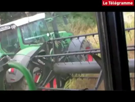 Morlaix. La moisson presse le temps