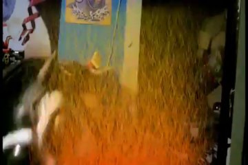 Mad Matt Reviews #41 Puppet Master