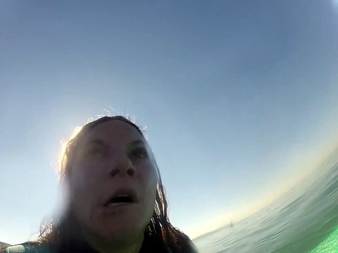 Surfer Spots Great White Shark In California Waters