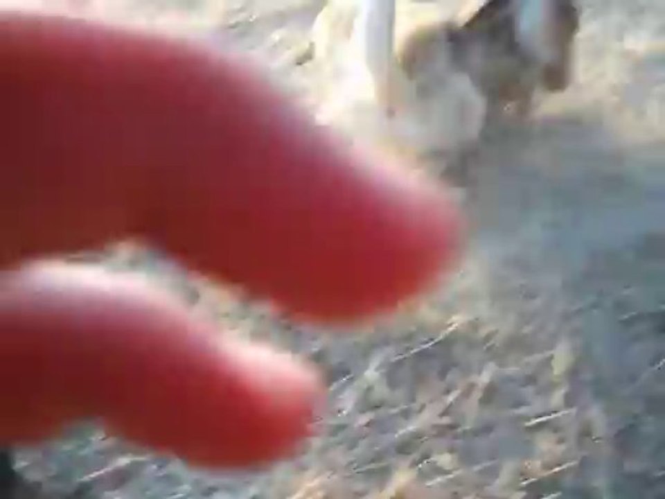 DSCF0503