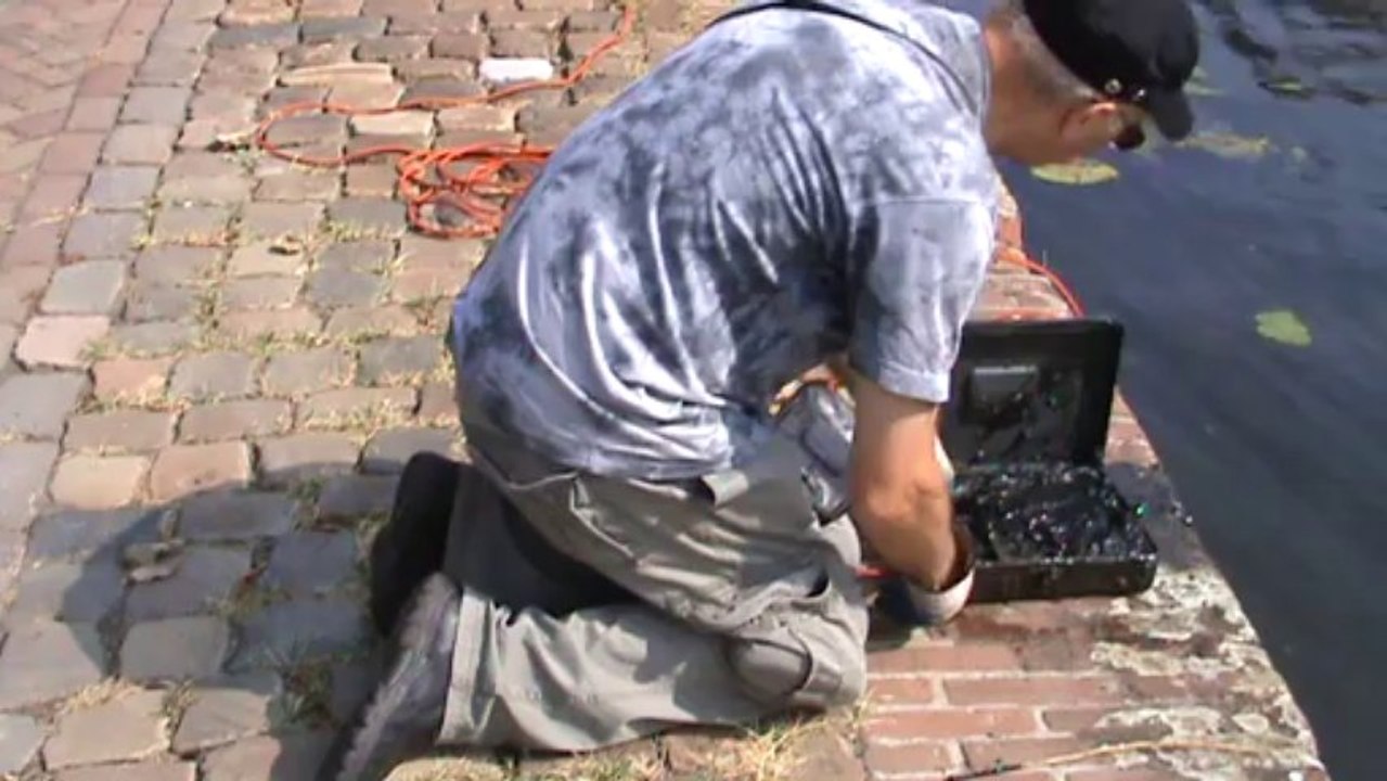 magneetvissen in schiedam 2