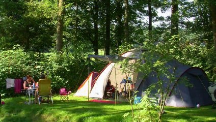 Camping De Waps, Gaasterland (Friesland) in vogelvlucht: kamperen in sfeervol en bosrijk Gaasterland
