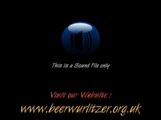 The Beer Wurlitzer - No Matter What