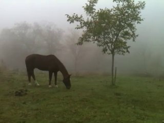 Repos automnal dans le Bugey