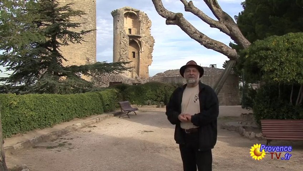 Le château de Reinhard