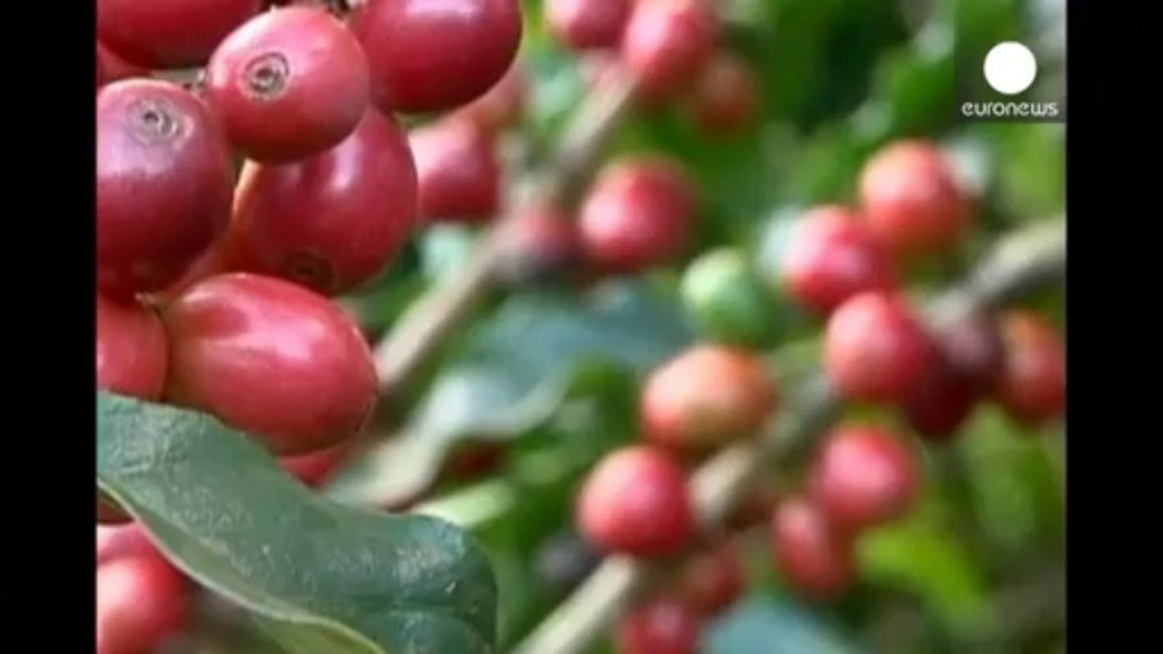 Starbucks vend son café trop cher pour les médias chinois