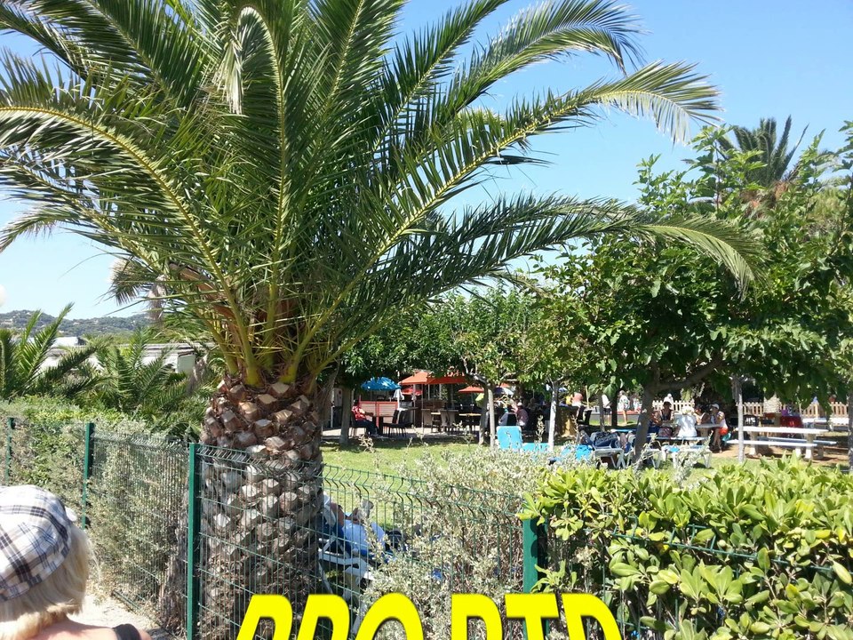 PRO BTP HYERES RESTO  PLAGE VACANCES 2013