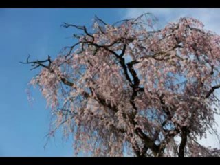 1 SAMUEL  CAP 23 - A BIBLIA NA LINGUAGEM DE HOJE