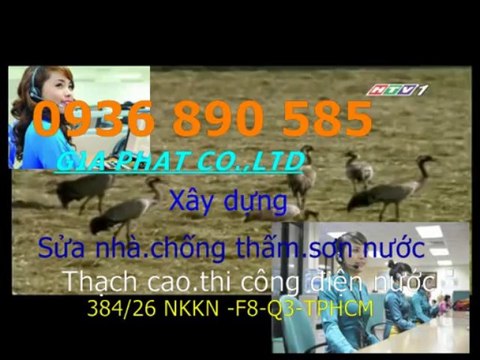 Thợ sửa chữa điện nước ở tại quận 2 HCM.,(0907 323053)