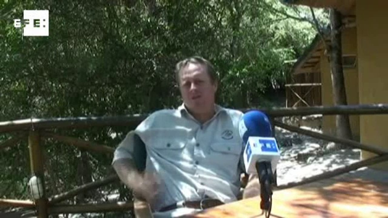 População de rinocerontes da África do Sul pode desaparecer até 2020.