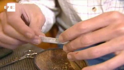 ONU descarta legalização das drogas como medida de combate ao narcotráfico.