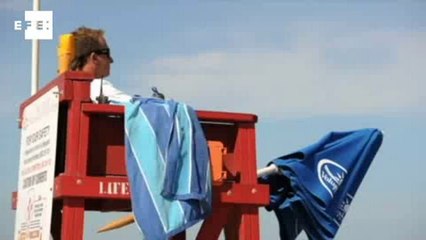 Mortes por ataques de tubarão duplicaram em 2011.