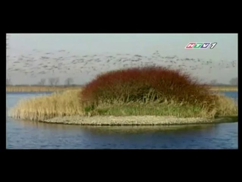 Thợ sửa chữa điện nước ở tại quận 5 HCM.,//(0907 323053)